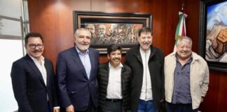 “Los mantos de impunidad” .