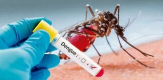 Refuerza IMSS Veracruz Sur medidas de prevención ante síntomas de dengue.