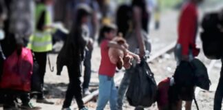 Juez federal bloquea deportación de niños migrantes guatemaltecos con casos activos en EE.UU.