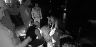 Alertan sobre presión de agua por rehabilitación de línea del Alto Pixquiac a la ciudad de Xalapa.