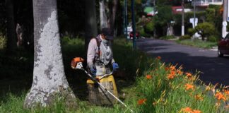 Realiza Ayuntamiento de Xalapa Jornada Comunitaria de Mantenimiento de Áreas Verdes