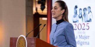 Propuesta de Reforma Electoral será enviada al Congreso en enero: Presidenta Sheinbaum .