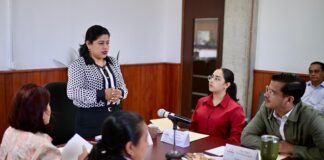 Se reúne Comisión de Medio Ambiente con autoridades de Sedema y PMA