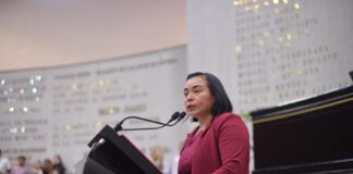 Tendría Veracruz Ley para la producción y comercialización del Aguacate