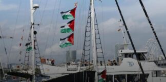 Grupo de activistas mexicanos en la flotilla serán repatriados a la brevedad: SRE