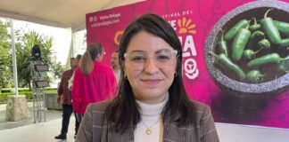 Dirección de Cultura de Xalapa está trabajando en la reducción del impuesto a los artistas independientes.