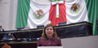 Propone diputada fortalecer en escuelas acciones para prevención del suicidio