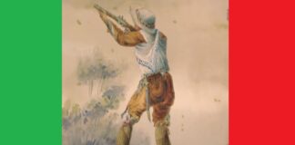 María Josefa Martínez: La capitana insurgente de Orizaba Imagen ilustrativa