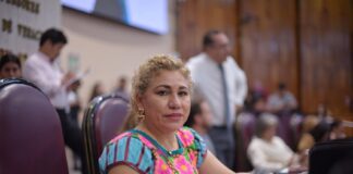 Anuncia diputada foros regionales para elaborar nueva Ley de la Vainilla .