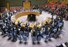 Estados Unidos veta de nuevo una resolución que pide el alto el fuego en Gaza.