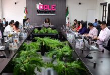 OPLE Veracruz dará más de 263 millones de financiamiento público a partidos para 2026