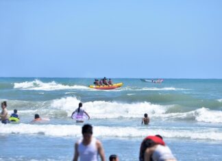 Puente se tradujo en tradujo en derrama económica de 200 mdp: Rocío Nahle