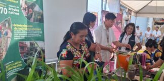 Ciudadanos de 13 municipios participaron en el Reciclatón Eco Fest 2025 en Veracruz