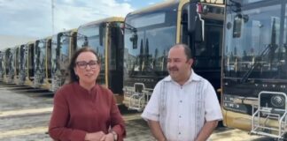 Rocío Nahle supervisa 101 nuevos autobuses Ulúa en Veracruz .