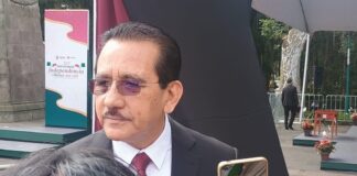 La enfermedad HLB afecta en 40 por ciento producción de cítricos en Veracruz .