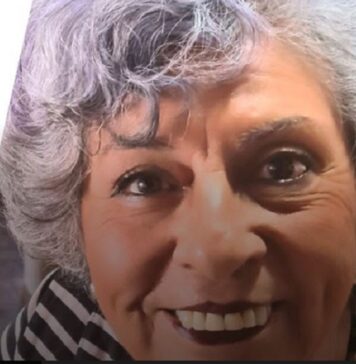 El acoso a la Presidenta .