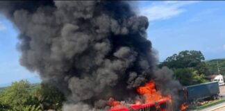 #UltimaHora: Accidente entre un ADO y un tráiler en la Córdoba – Veracruz.