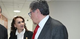 Monreal crea vicecoordinación para Dolores Padierna en San Lázaro; decisión salomónica, dice