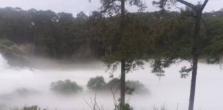 Fuga de gas en Nanacamilpa moviliza a autoridades y provoca desalojos preventivos.