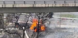 Las y los olvidados del Puente de la Concordia.