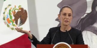 Claudia Sheinbaum defiende a diputada Hilda Brown ante señalamientos de EEUU.