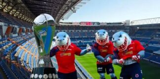 Rocío Nahle también quiere el regreso de los Tiburones Rojos a Veracruz