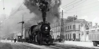 El regreso del jarocho .