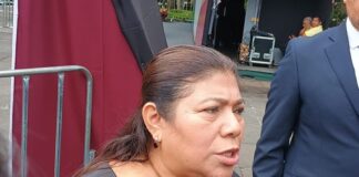 Confirma Secretaría de Cultura desfile por Día de Muertos, asegura que trabajadores de gobierno no serán obligados.