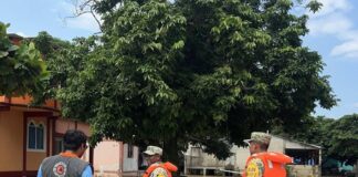 Gobierno del Estado despliega respuesta por inundaciones en el sur de Veracruz.