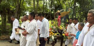 Voladores de Papantla, patrimonio vivo que une comunidad y cultura.