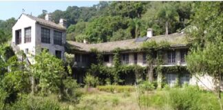 ¿Dónde quedó la bolita?