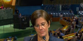 Relatora pide ante Naciones Unidas abandonar ideología de género y recuperar agenda de mujeres.