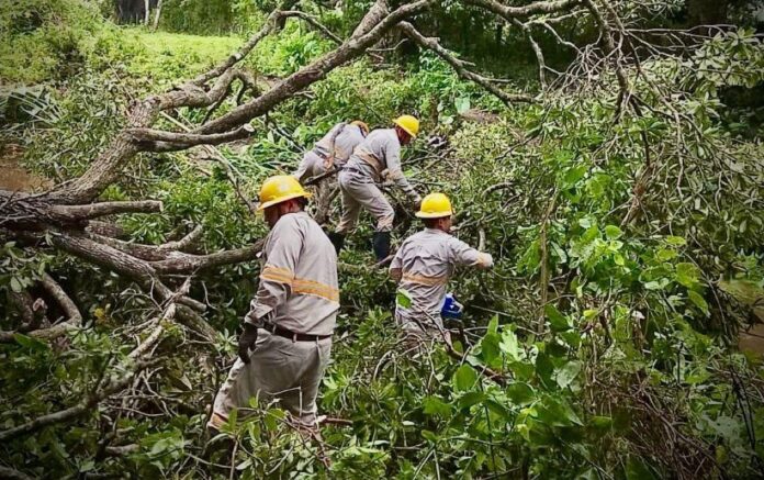CFE afectaciones lluvias