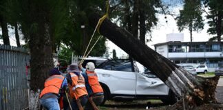 Por Frente Frío, activa Ayuntamiento de Xalapa Sistema Municipal de Protección Civil .