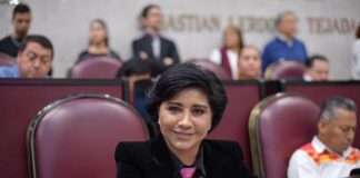 Propone diputada incorporar la Violencia Estética en la legislación local.