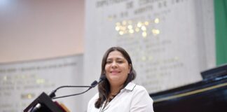 Urge diputada a cuidar la salud mental de las nuevas generaciones .