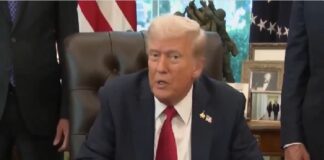 Donald Trump califica de alborotadora a Greta Thunberg.