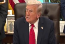 Donald Trump reacciona así a la elección de Yohnar Mamandi como alcalde de Nueva York