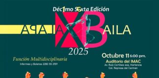 Disfruta de la cultura en Xalapa.