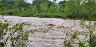 Alerta Preventiva en Misantla por Lluvias Intensas.