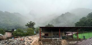 Xaltipa en Ilamatlán desapareció en el Norte de Veracruz; reportan a dos maestras como no localizadas.