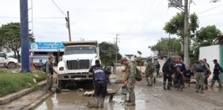 Despliegue masivo de fuerzas Federales y Estatales en Álamo para labores de limpieza