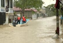 Reportan aumento a 37 decesos por inundaciones extraordinarias en Veracruz