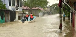 Reportan 37 fallecidos por inundaciones extraordinarias en Veracruz .