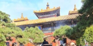 El pasmoso desarrollo de Japón y China .