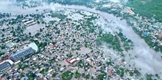 El olvido que anega a Veracruz .