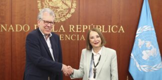 México siempre ha tenido un papel importante en la ONU y ha sido respetuoso con las naciones: Laura Itzel Castillo Juárez