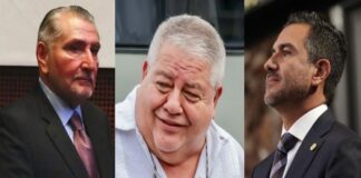 Manuel Huerta: el senador sin causa .