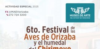 Acude al festival de Aves de Orizaba en el MAEV .