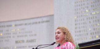 Instalar Casas de Día para atención de adultos mayores, propone diputada .